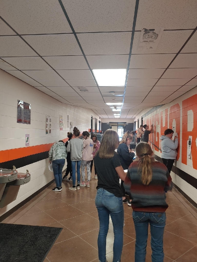 Live Feed Viola School District 15